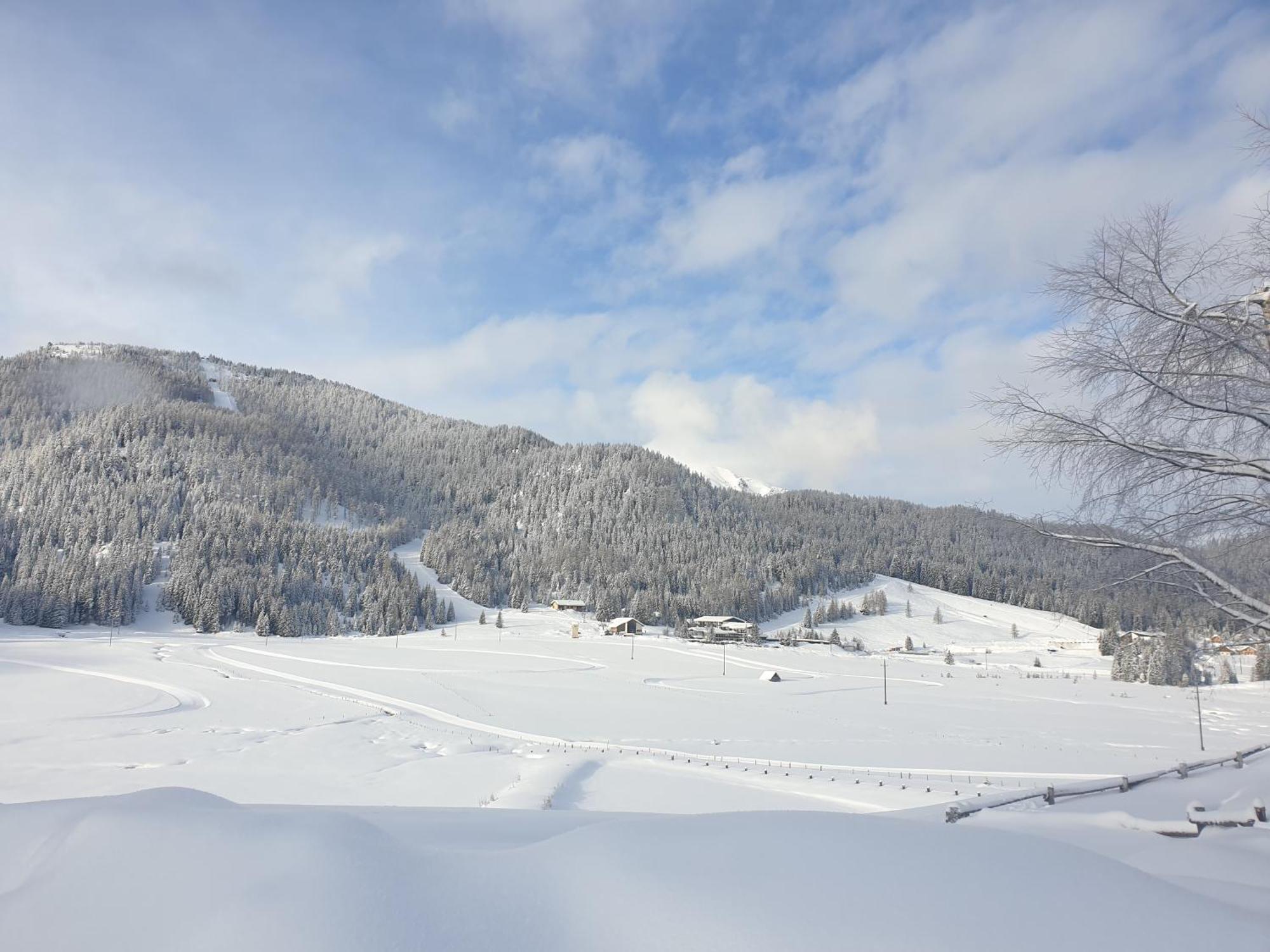 Ferienhaus Schaefer - Apartments - Wintersports - Family Holiday - Holiday With Your Dog - Rural & Scenic Flattnitz Exterior photo