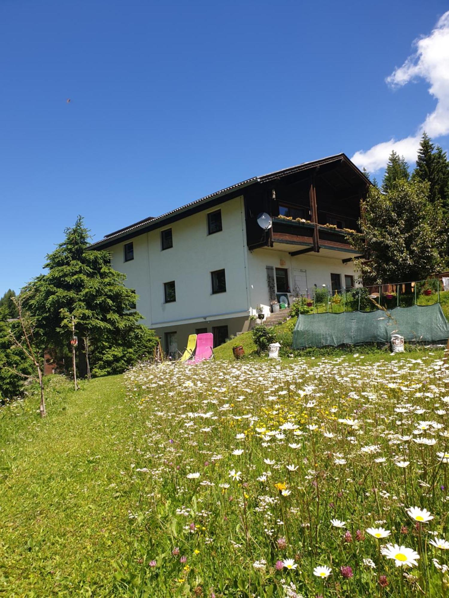 Ferienhaus Schaefer - Apartments - Wintersports - Family Holiday - Holiday With Your Dog - Rural & Scenic Flattnitz Exterior photo