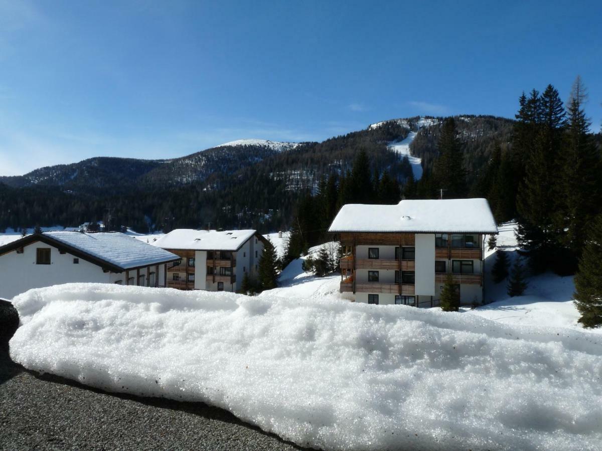 Ferienhaus Schaefer - Apartments - Wintersports - Family Holiday - Holiday With Your Dog - Rural & Scenic Flattnitz Exterior photo